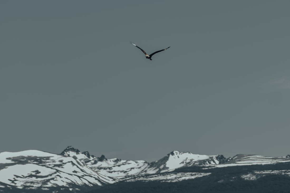 Luxury Redefined: Sustainable Travel and Its Role in the Future of Adventure Image 1