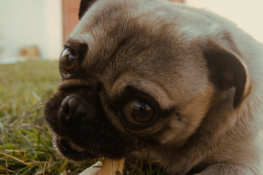 Making Sense of Modern Nutrition: Debunking Common Myths Image 2