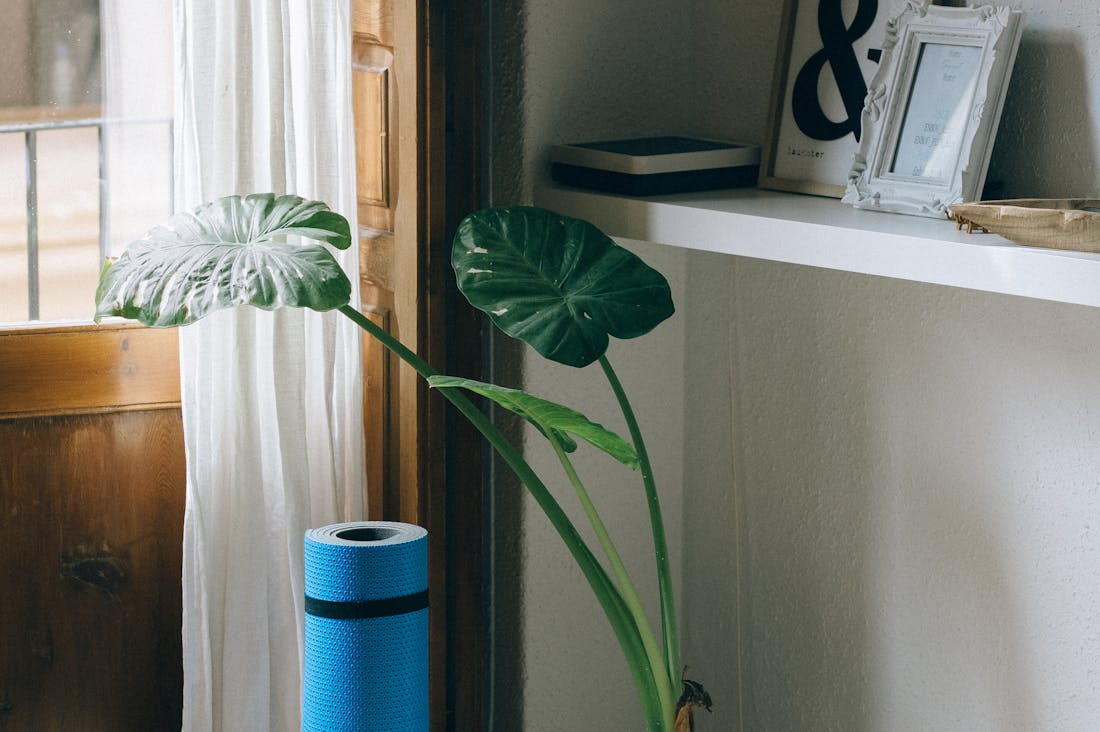 Mastering Home Workouts: Effective Routines for Every Fitness Level Image 3