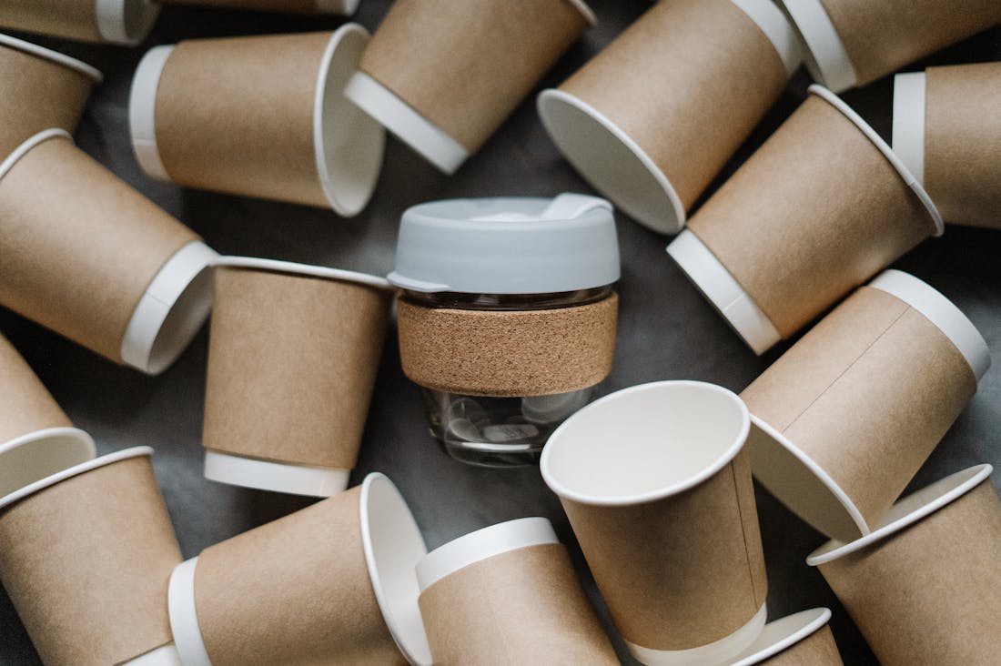 Mastering Sustainable Living: Practical Tips for an Eco-Friendly Lifestyle Image 1