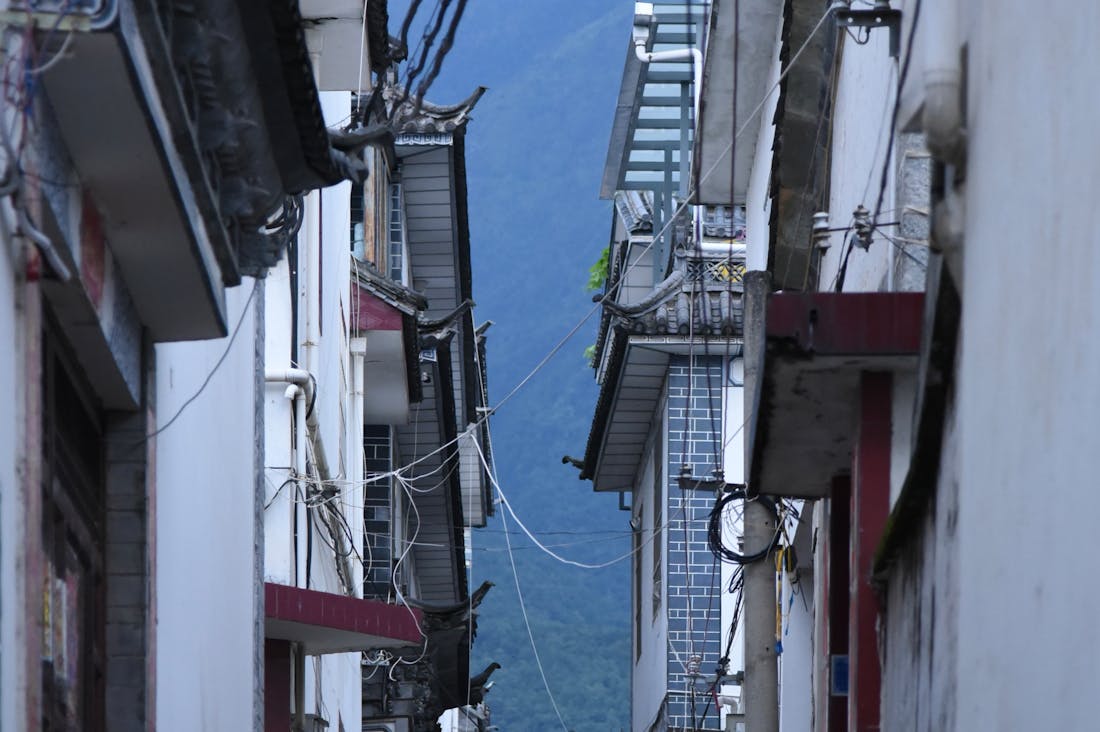 Mastering the Art of Road Trips for Adventurous Souls Image 2