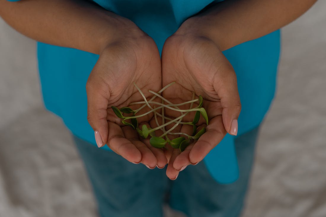 Mastering the Art of Sustainable Living: Practical Insights for a Greener Lifestyle Image 3