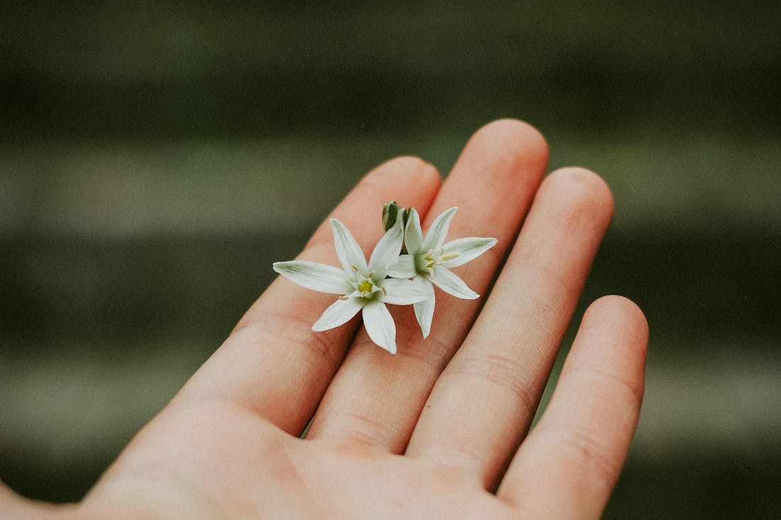 Mastering the Art of Work-Life Balance: Strategies for Thriving in a Modern World Image 3