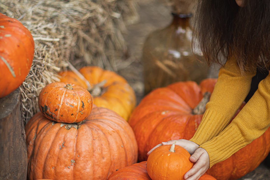 Maximize Wellness with Simple Daily Habits for a Healthier Life Image 1