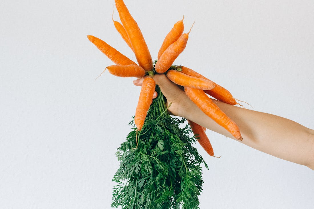 Maximize Wellness with Simple Lifestyle Changes That Boost Your Health Image 2