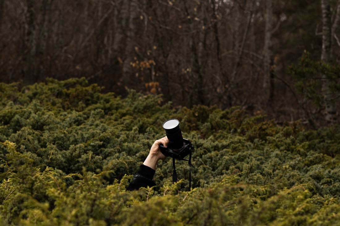 Maximizing Health Benefits of Everyday Foods for a Balanced Lifestyle Image 1