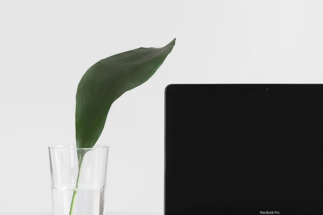 Maximizing Productivity During Work-From-Home Transitions for Professionals Image 1