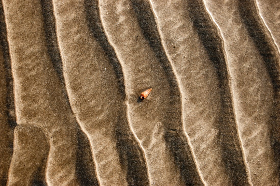 Maximizing Travel Experiences Through Mindful Planning Image 1