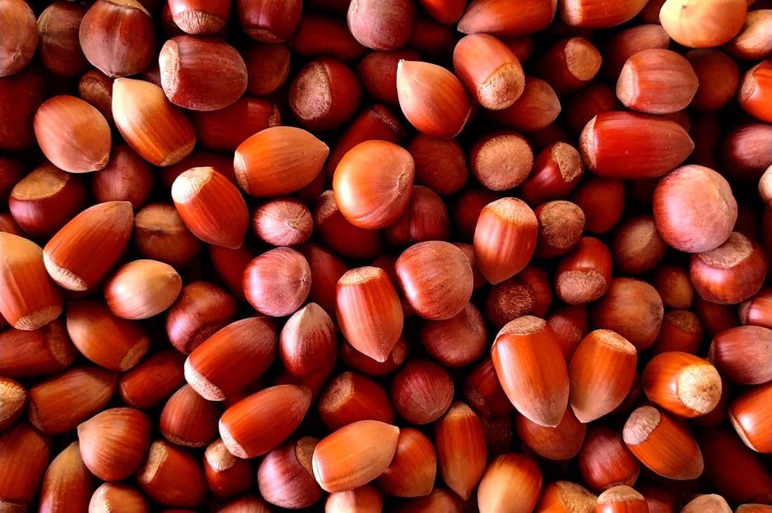 Maximizing Wellness Through Everyday Habits: Simple Strategies for Healthier Living Image 2