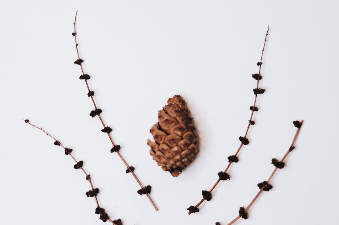 Mindful Productivity: Balancing Efficiency and Well-Being in Today’s Fast-Paced World Image 3