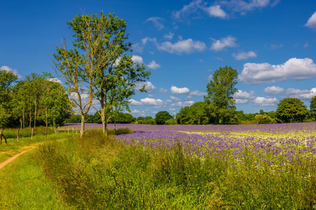 Modern Tech Innovations Revolutionizing Travel Experiences Image 3