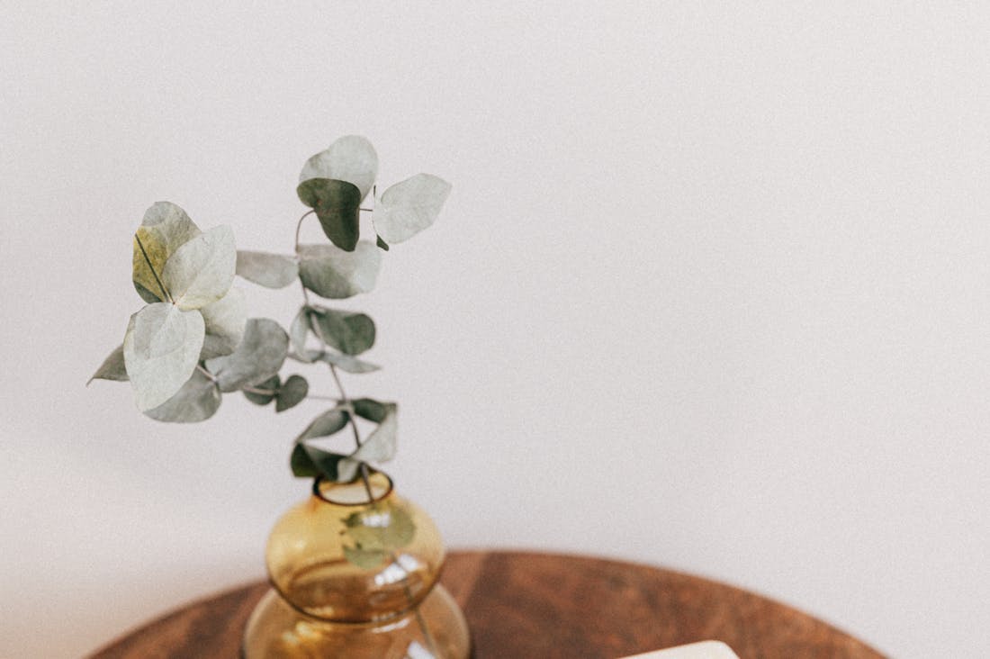 Modern Techniques for Sustainable Car Maintenance You Should Know