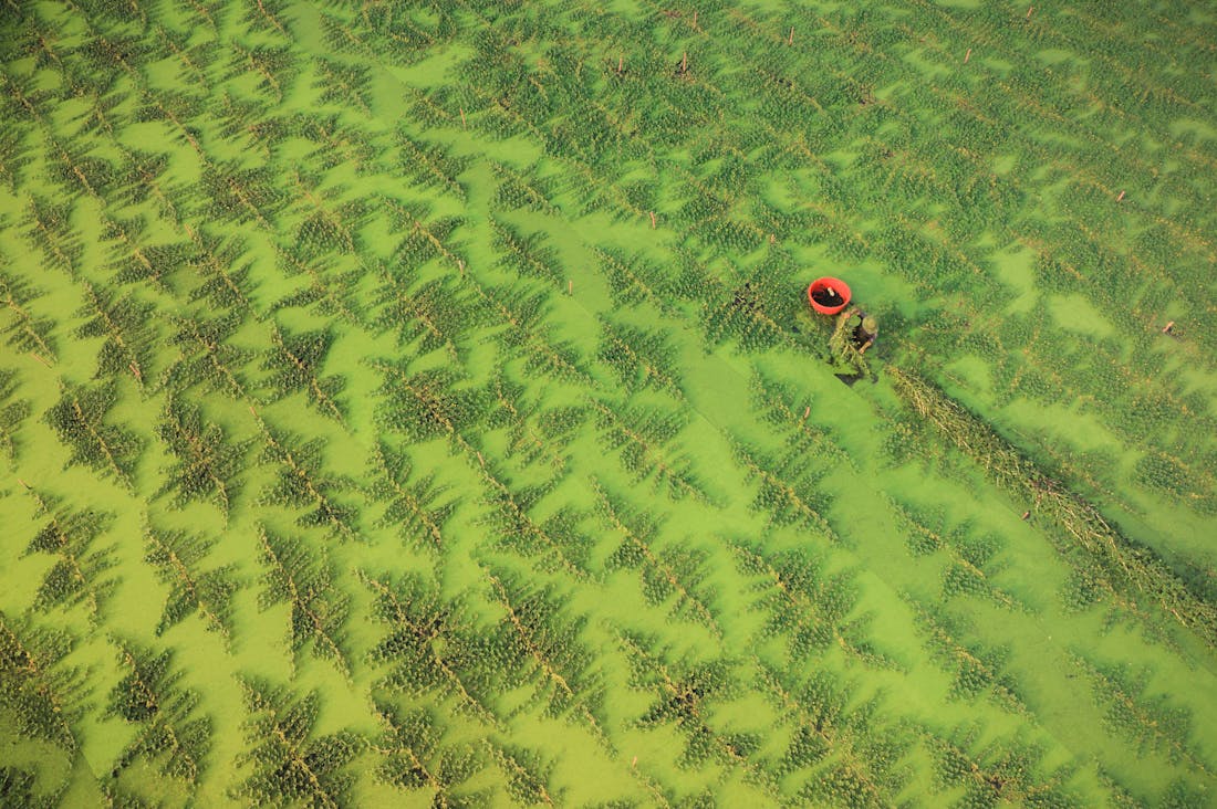 Navigating Financial Freedom: Strategies to Manage Debt, Invest Wisely, and Cultivate a Sustainable Lifestyle Image 3