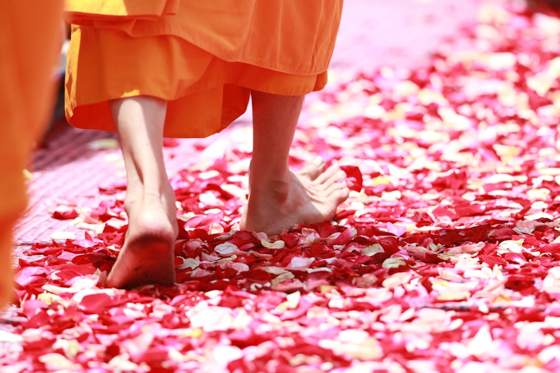 Navigating Health Benefits of Mindful Eating for a Balanced Lifestyle Image 2