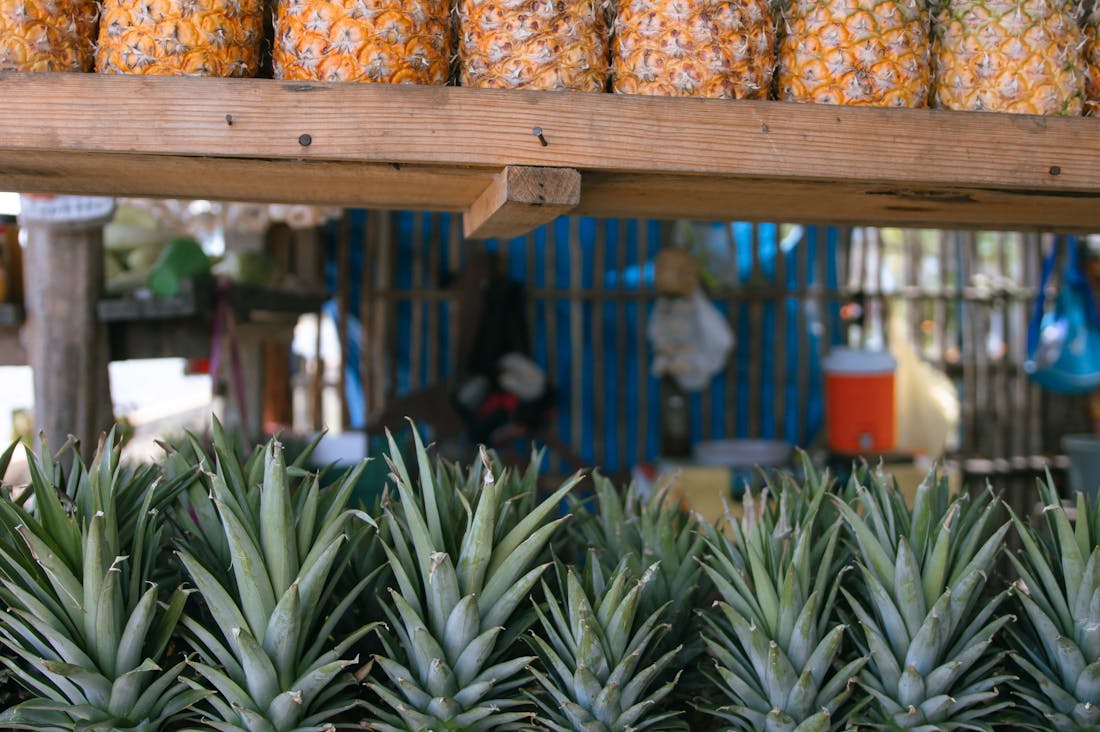Navigating Local Cuisine: Best Practices for Food Travelers Image 3