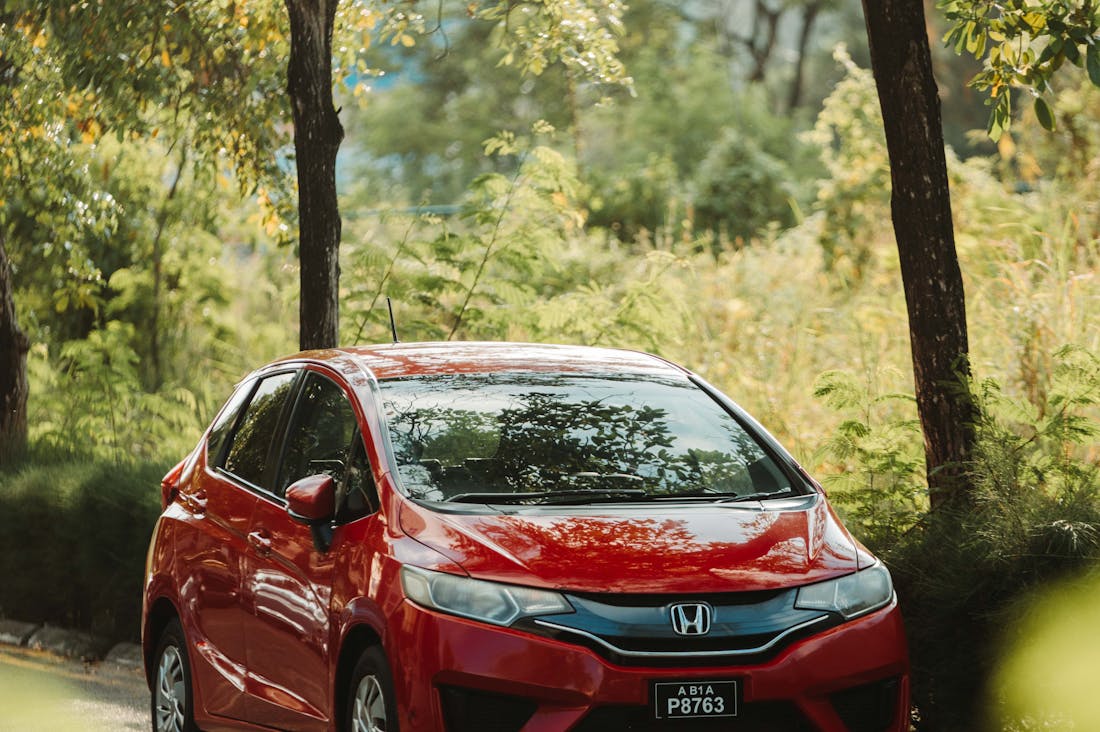 Navigating Sustainable Travel: How to Make Eco-Friendly Choices on Your Next Adventure Image 2