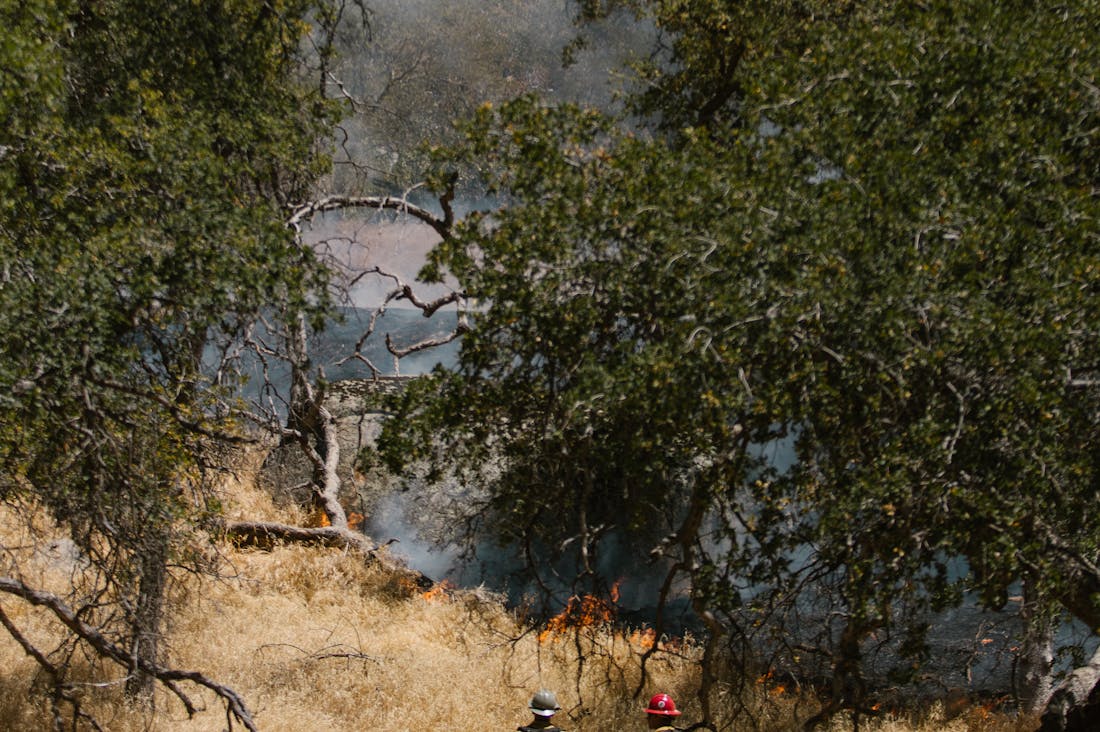 Navigating Sustainable Travel: Making Eco-Conscious Choices on Your Next Adventure Image 3