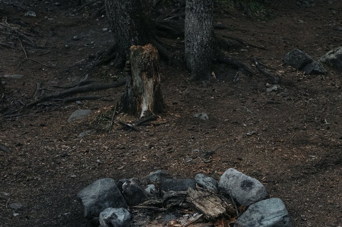 Navigating the Challenges of Modern Travel: Tips for Stress-Free Adventures Image 3