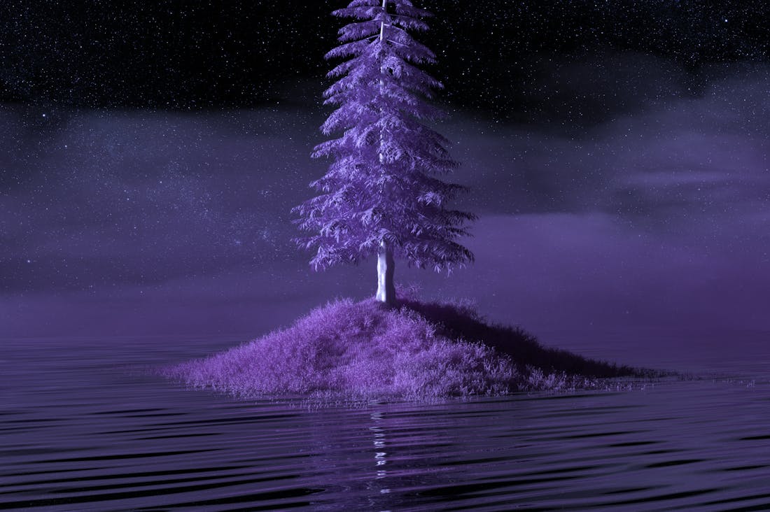 Navigating the Complex World of Cryptocurrency Investment Image 1