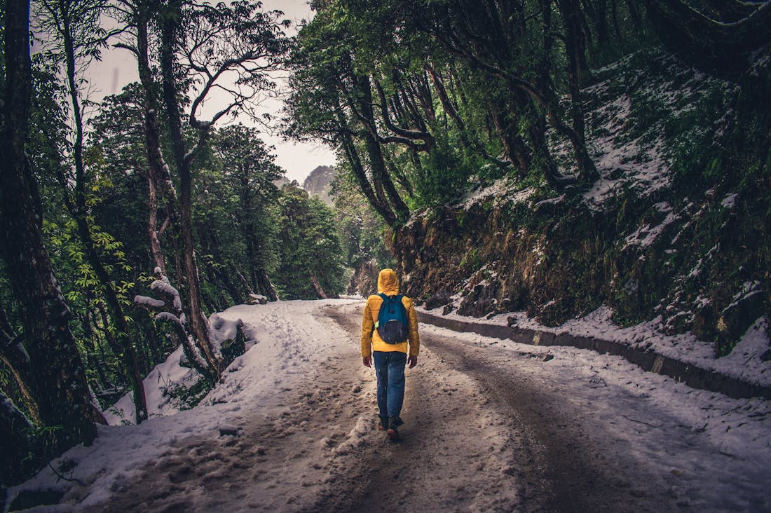 Navigating the Digital Landscape: Essential Tech Tools for Efficient Travel Planning Image 2