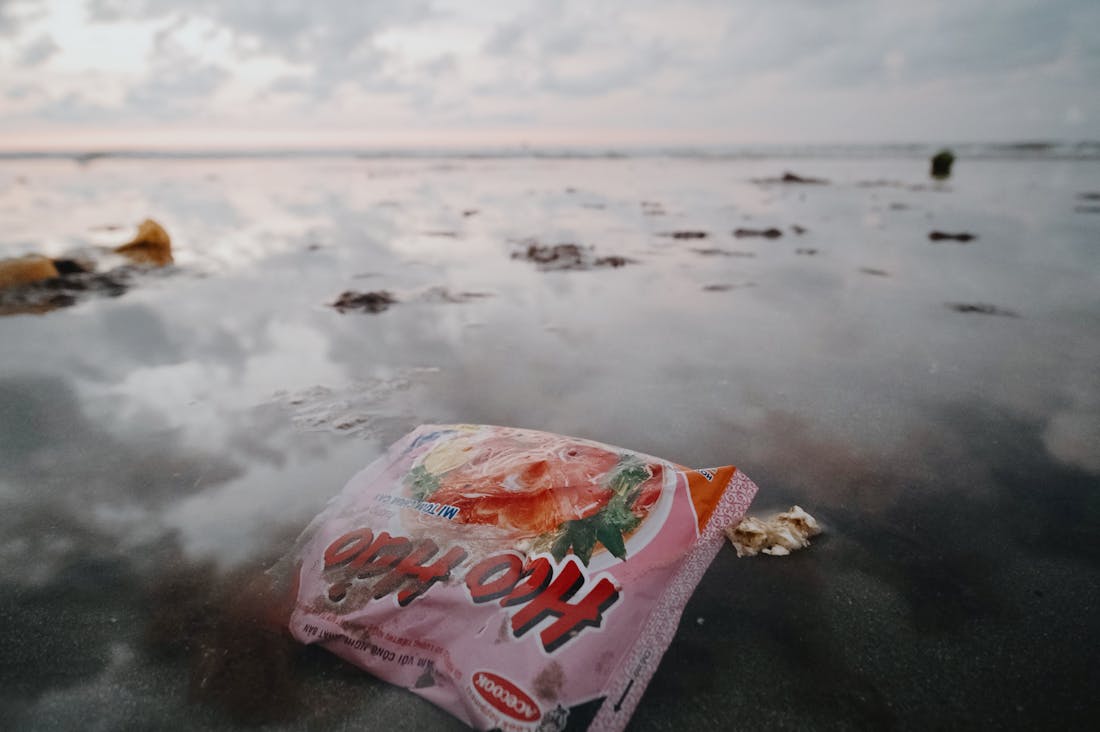 Navigating the Future of Electric Cars: How Technology is Shaping Sustainable Transportation Image 3