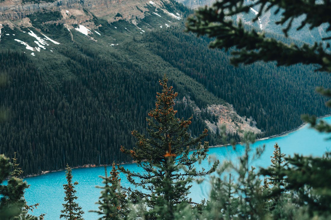 Navigating the Future of Travel: Embracing Sustainable Practices in Global Exploration Image 2