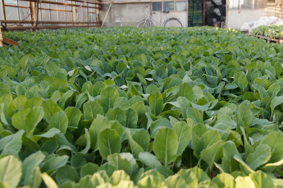 Navigating the Future of Travel: Sustainable Practices and Modern Adventures Image 3