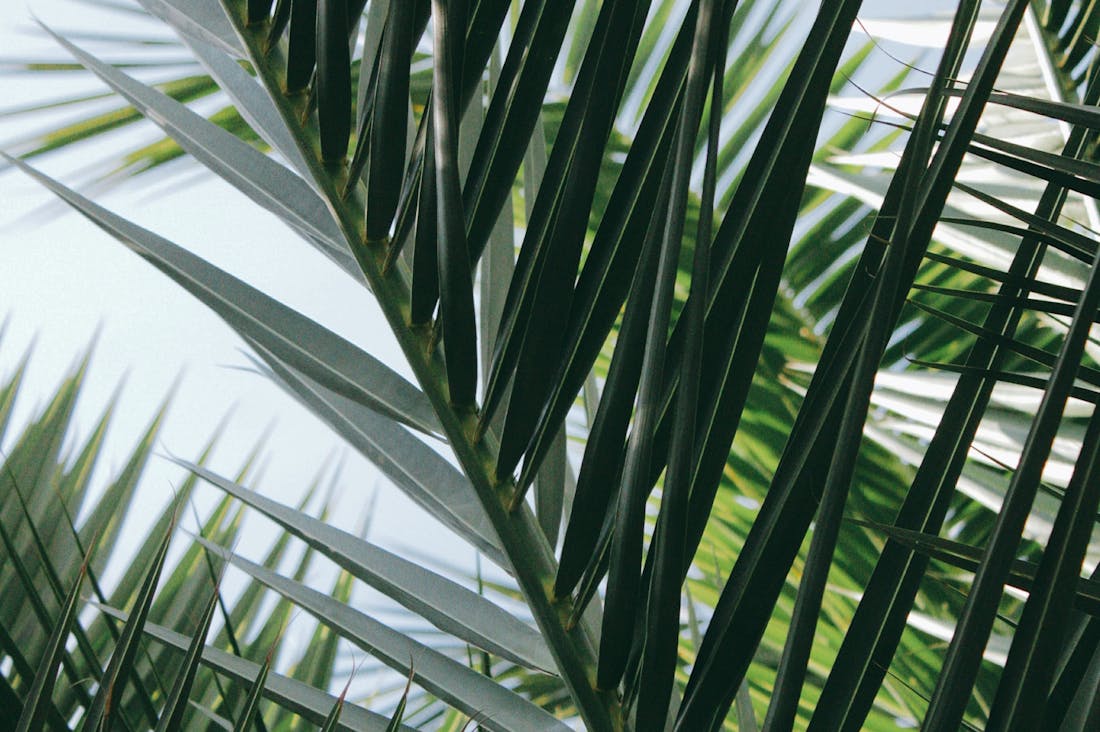 Navigating the Modern Car Market: Key Considerations for Auto Buyers in 2023 Image 3