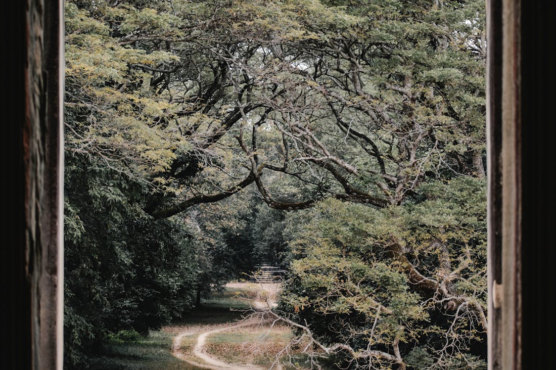 Navigating Travel Trends for Memorable Adventures Image 1