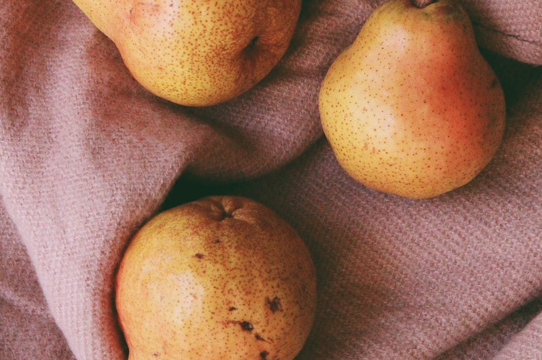 Optimal Health Habits for Busy Professionals Looking to Thrive Image 3