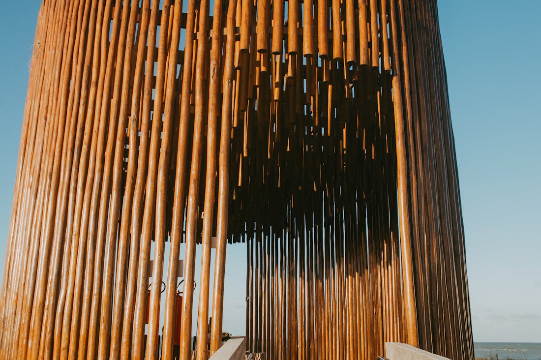 Pioneering Trends in Sustainable Living for a Greener Future Image 2