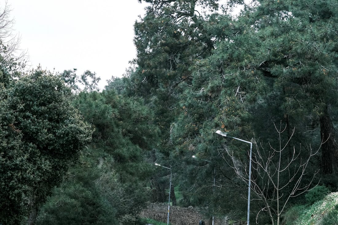 Practical Advice for Responsible Travel Without Breaking the Bank Image 3