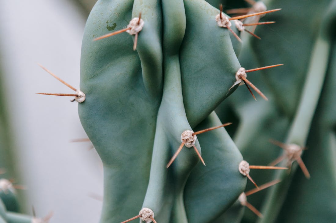 Practical Steps to Enhance Your Car Maintenance Routine Image 1