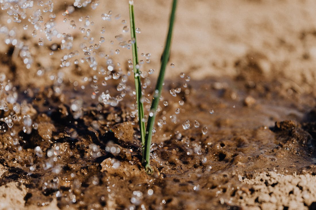 Practical Tips for Building a Sustainable Lifestyle That Lasts Image 2