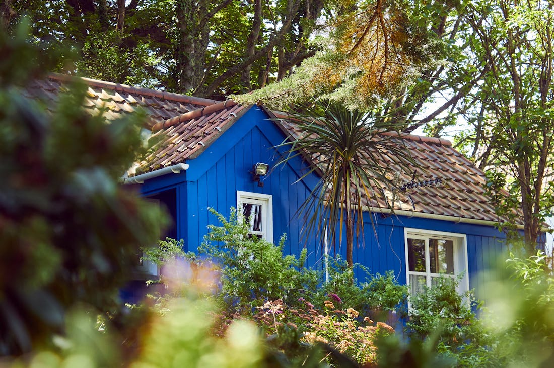 Practical Tips for Eco-Friendly Living in Today's World Image 1