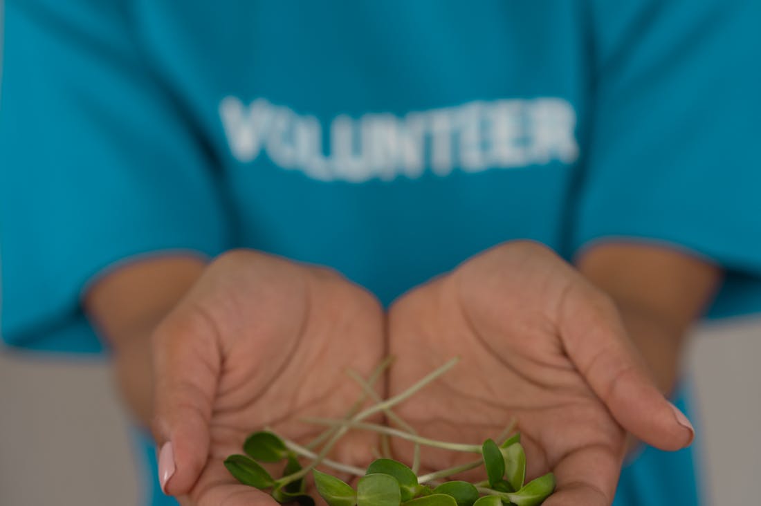 Practical Tips for Sustainable Living in Urban Spaces Image 3