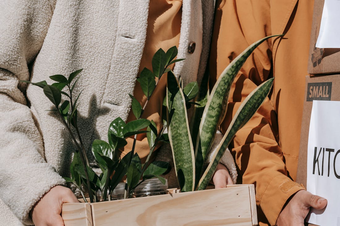 Practical Tips for Sustainable Travel Without Compromising Adventure Image 2