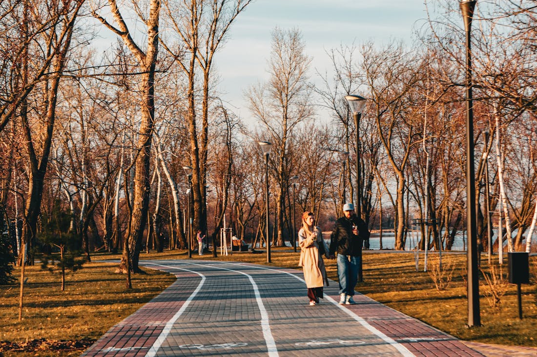 Preparing for a Road Trip: Essentials and Considerations Image 3