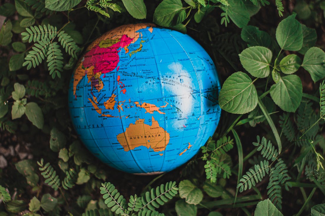 Prominent Trends Influencing the Future of Eco-Friendly Travel Image 1