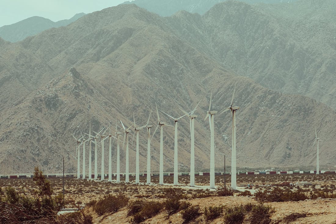 Prominent Trends Influencing the Future of Eco-Friendly Travel Image 2