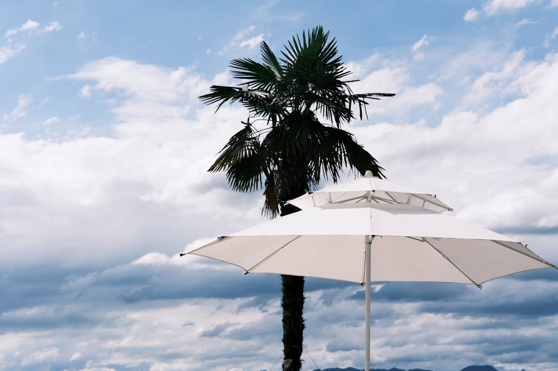 Prominent Trends Influencing the Future of Eco-Friendly Travel Image 3