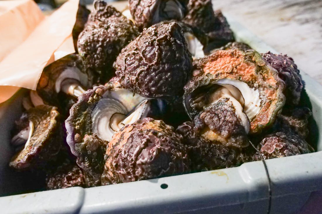 Promoting Health and Wellness Through Nutrient-Rich Meal Planning Image 2