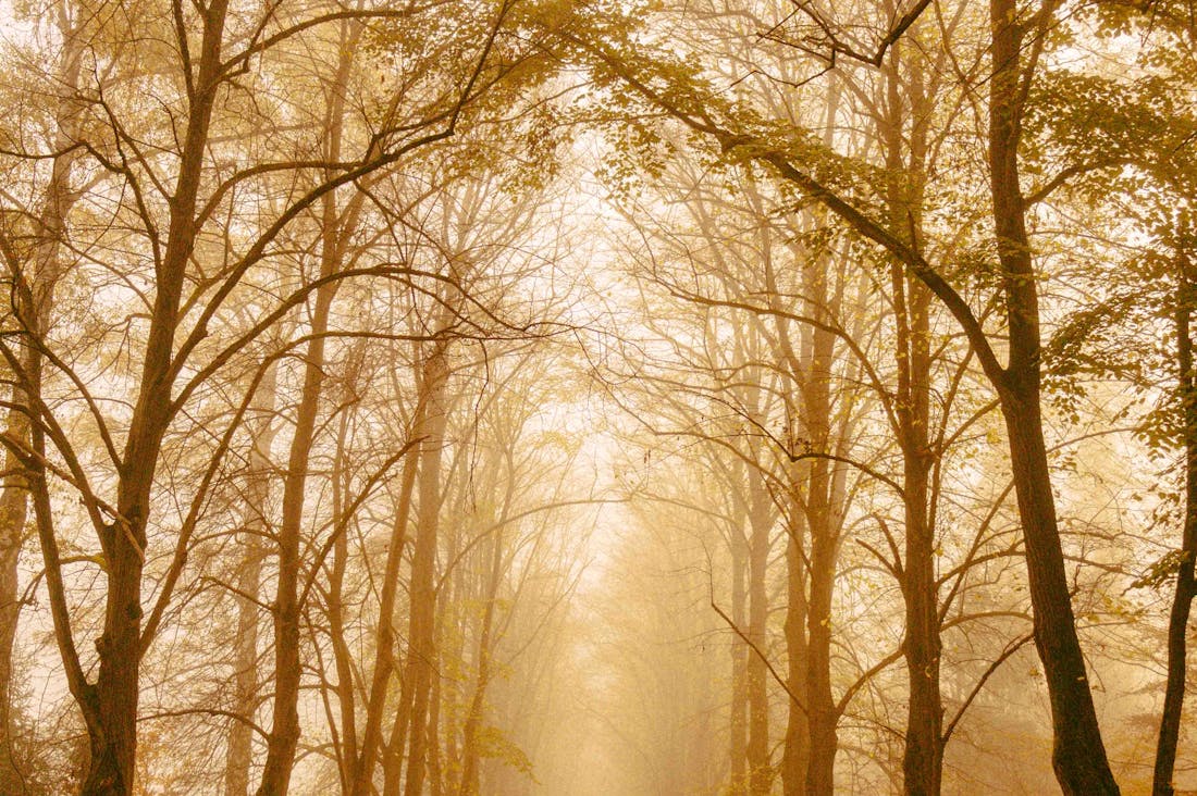 Proven Strategies to Optimize Personal Finances Efficiently Image 1