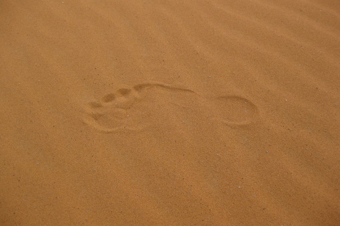 Proven Tips for Traveling Sustainably Without Sacrificing Comfort Image 3