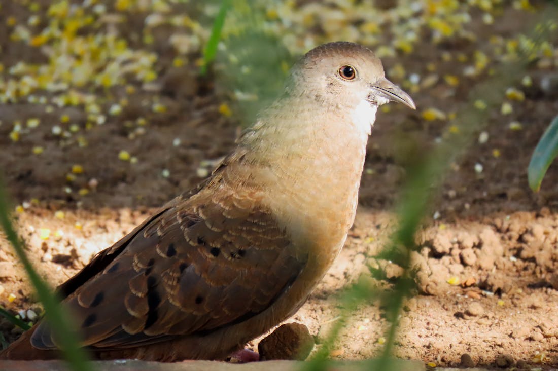 Redefining Auto Technology: How Innovations are Shaping Our Future on the Road Image 3