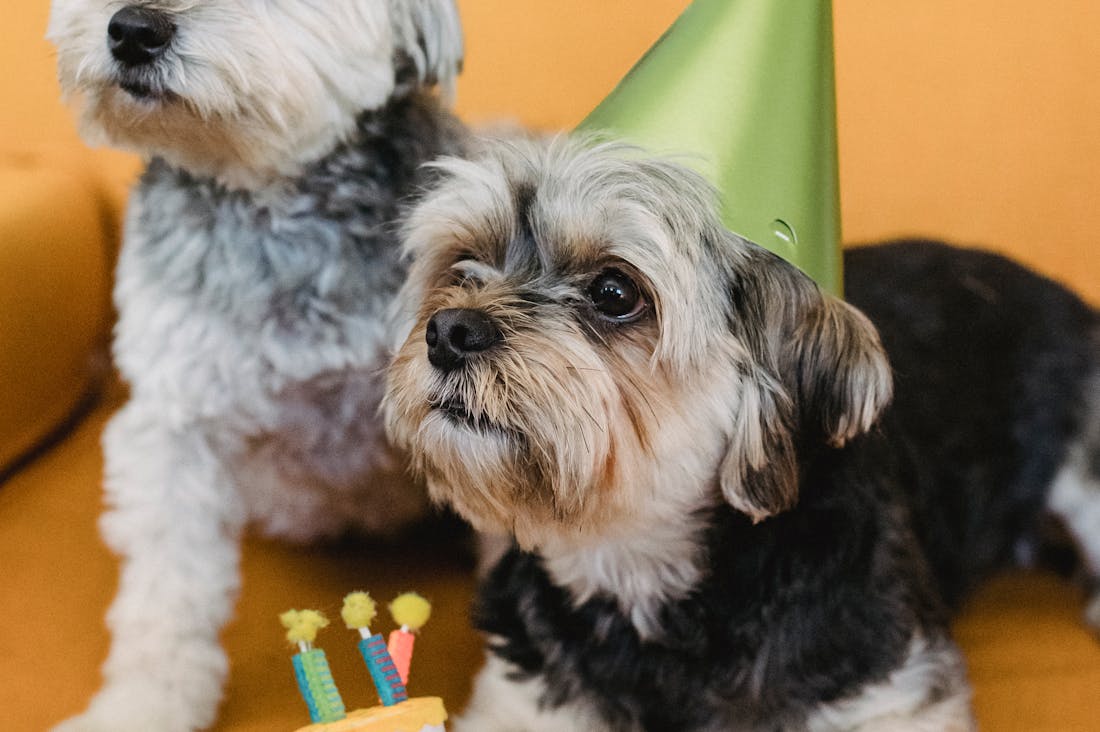 Redefining Personal Care: Discovering Your Unique Self-Care Rituals Image 3