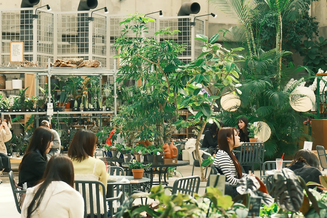 Redesigning Spaces: How Home Decor Changes Impact Mental Well-Being Image 2