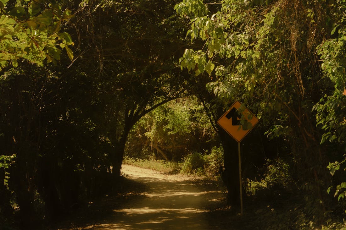 Reimagining Travel Experiences Through Sustainable Practices Image 1