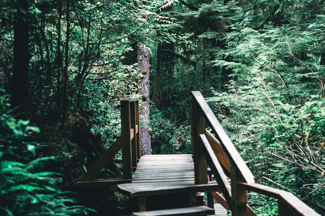 Reimagining Travel: How to Explore the World Sustainably While Enriching Your Life Experience Image 3