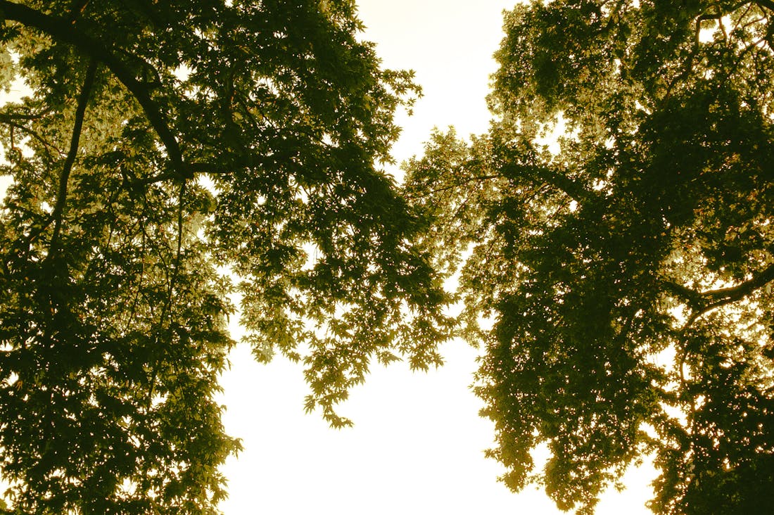 Revamp Your Space with Minimalist Design Principles for Clarity Image 3